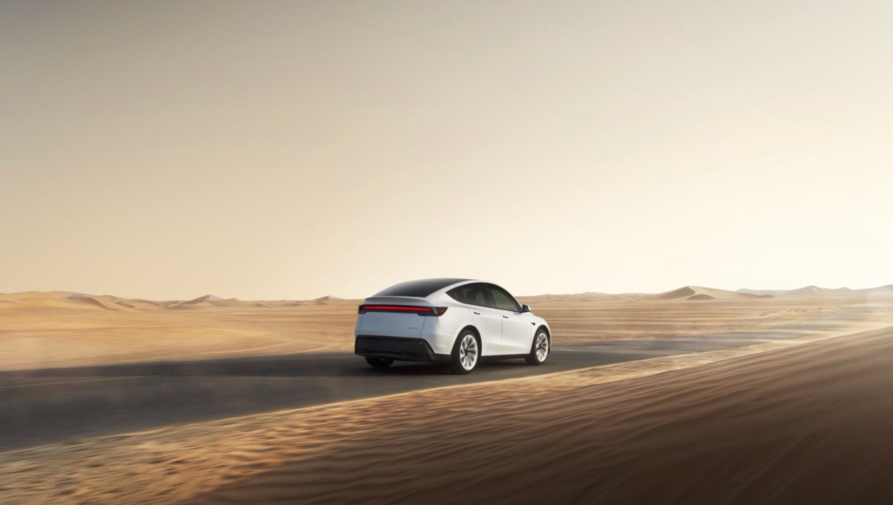 Musk Reveals Next FSD Market for Tesla