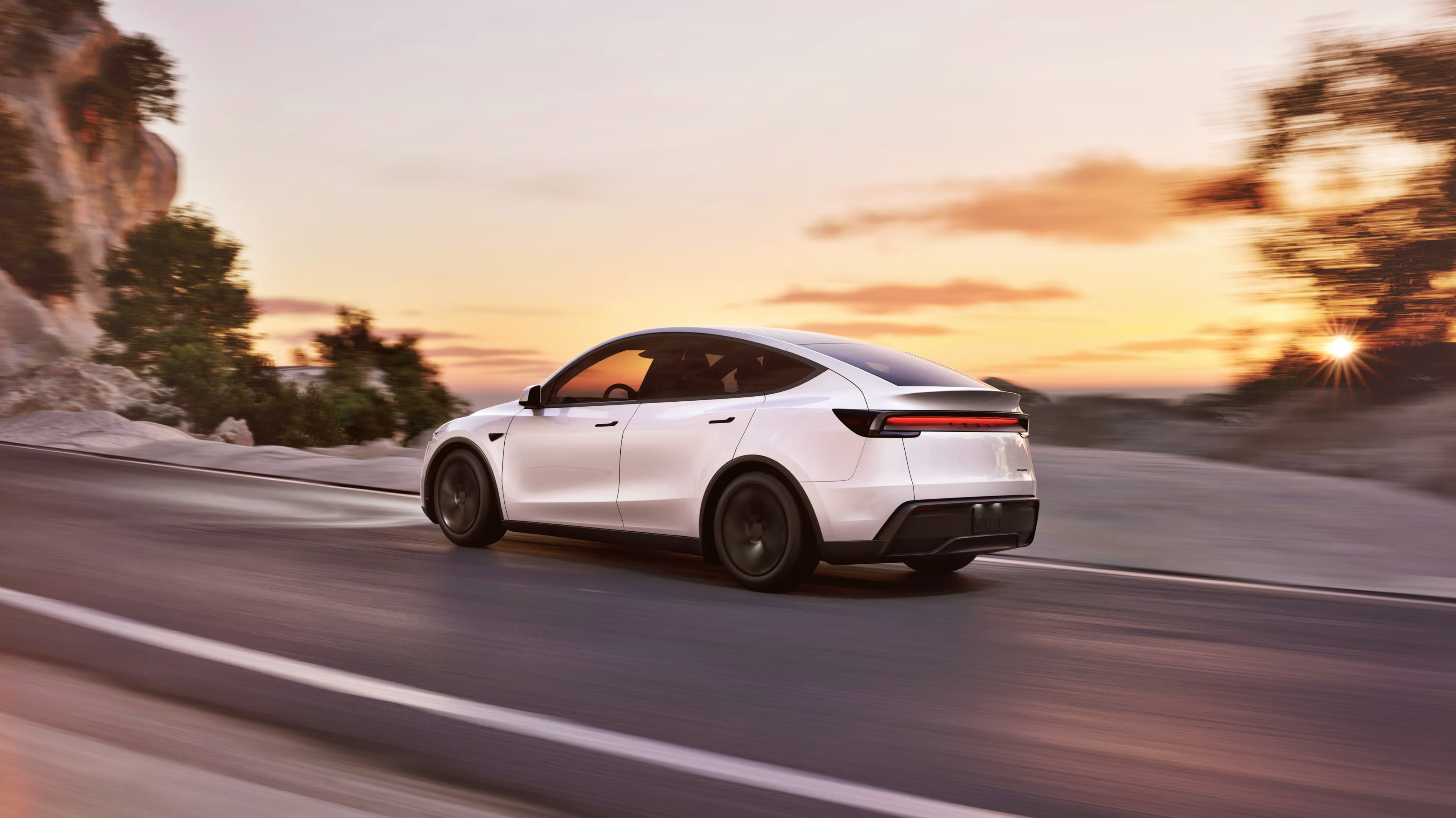 Make Your Model Y the Ultimate Summer Family SUV