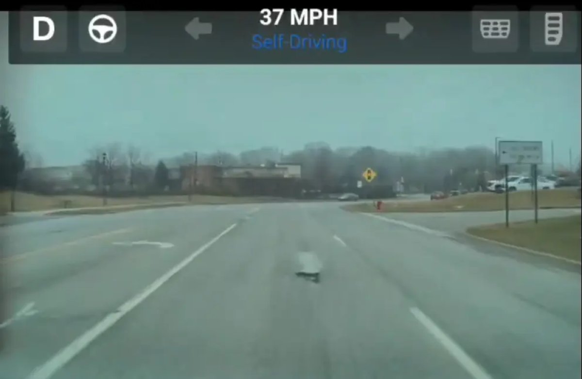 Tesla FSD now avoids potholes