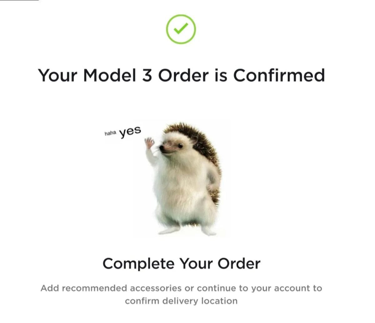 Tesla's 'Haha, Yes' Hedgehog: What It Means and Where It Came From