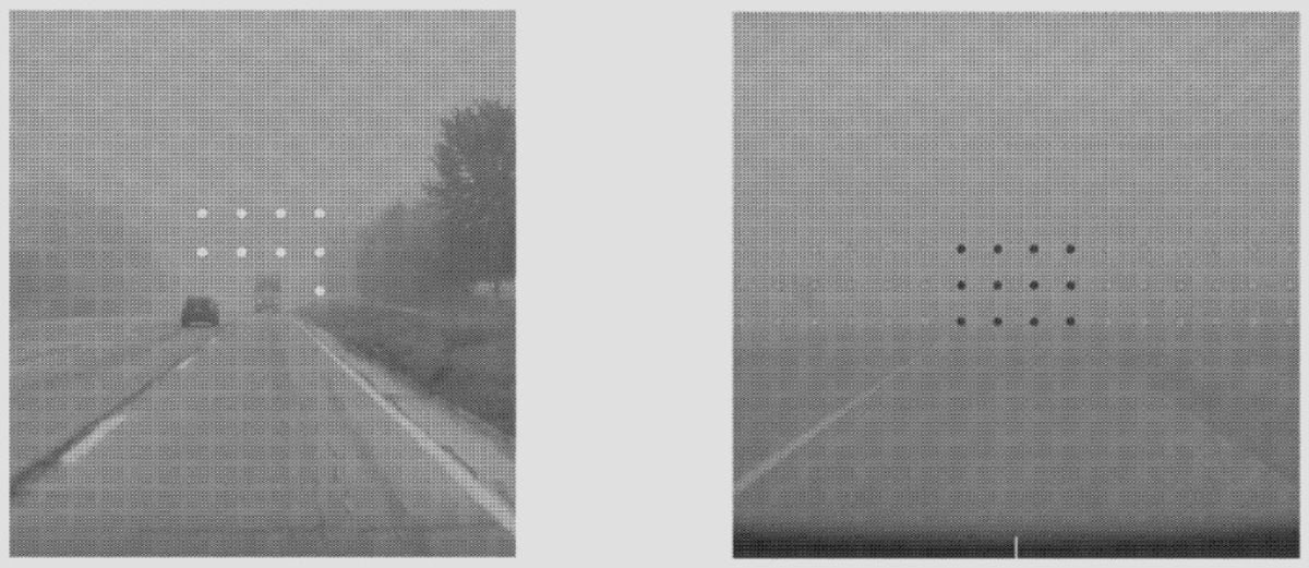 How Tesla Vision Sees Through Inclement Weather