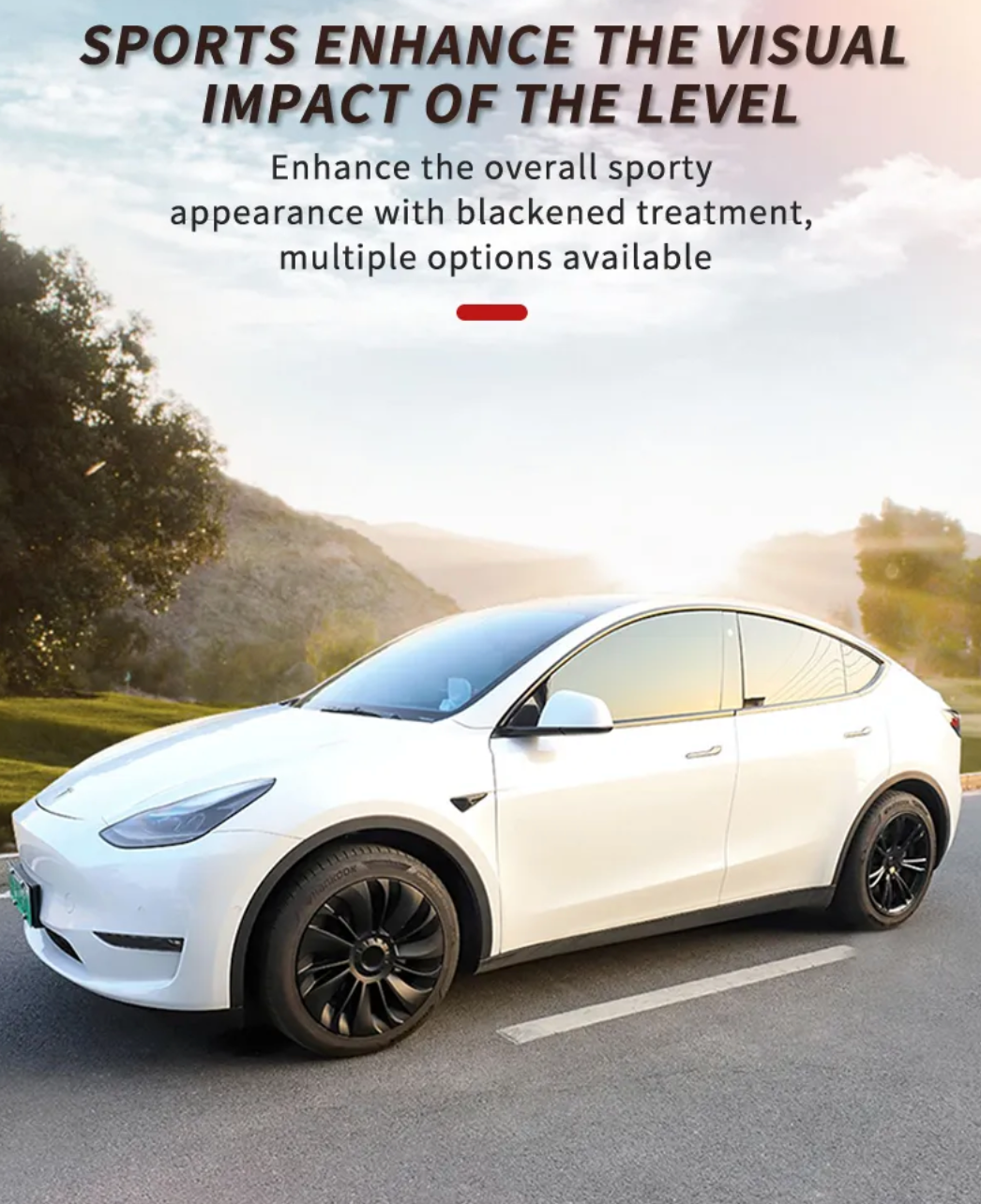 Teslahubs™ Coprimozzo da 19 pollici per Model Y