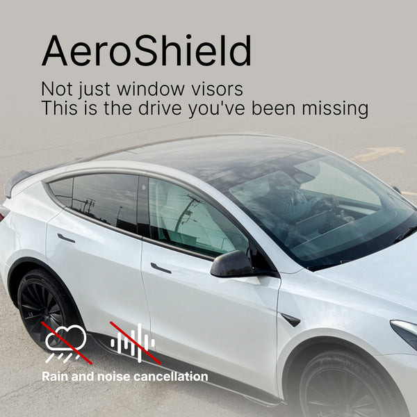 AeroShield Deflettori per Finestrini