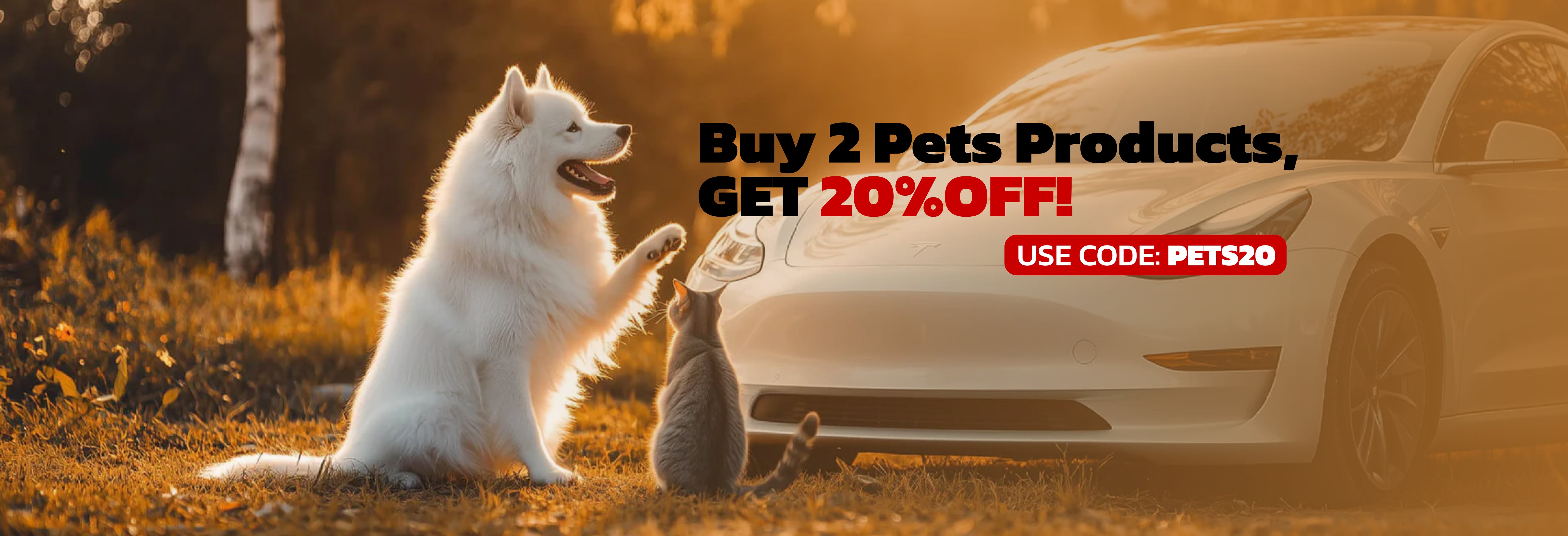 Haustierzubehör für Tesla