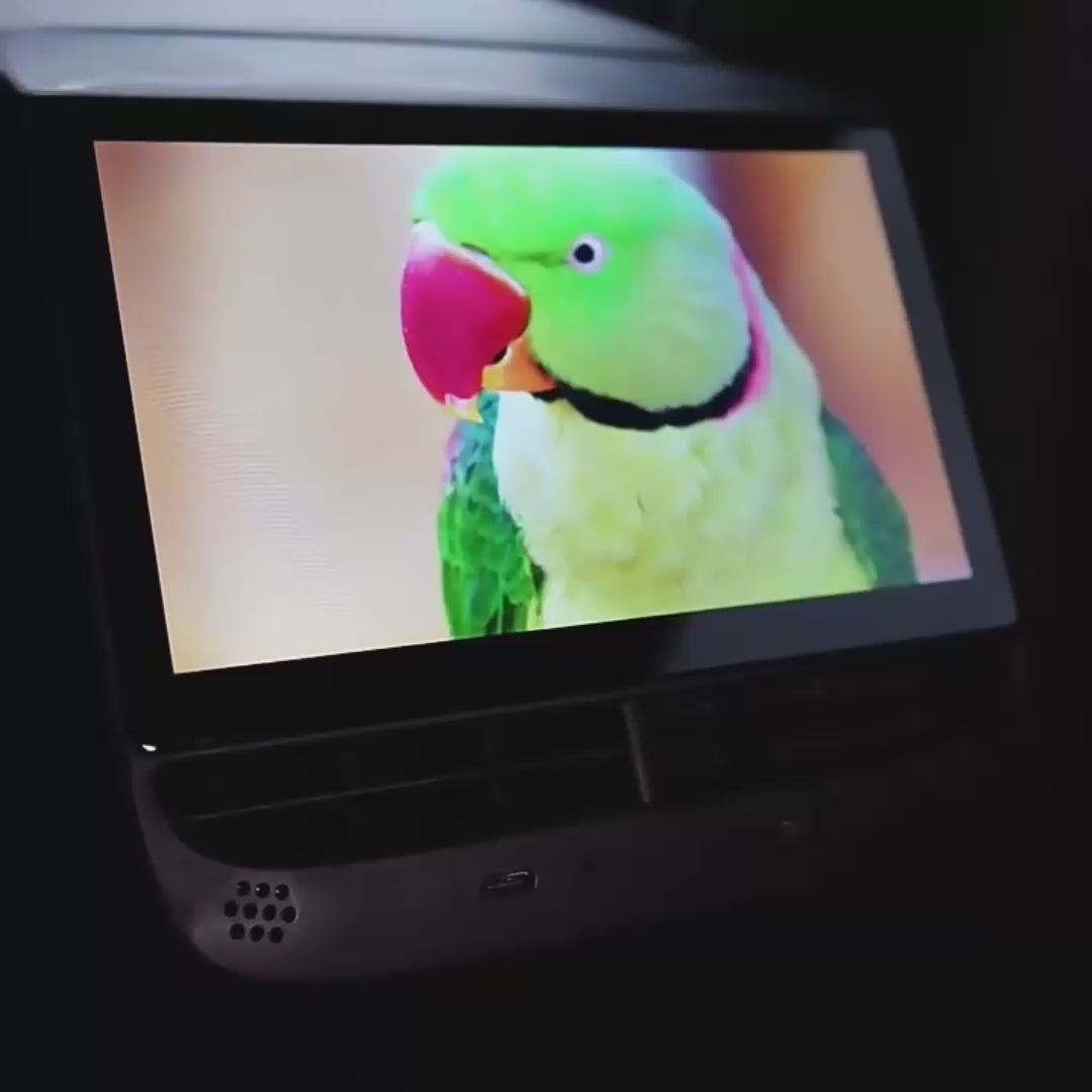 Schermo Display Posteriore Teslahubs™