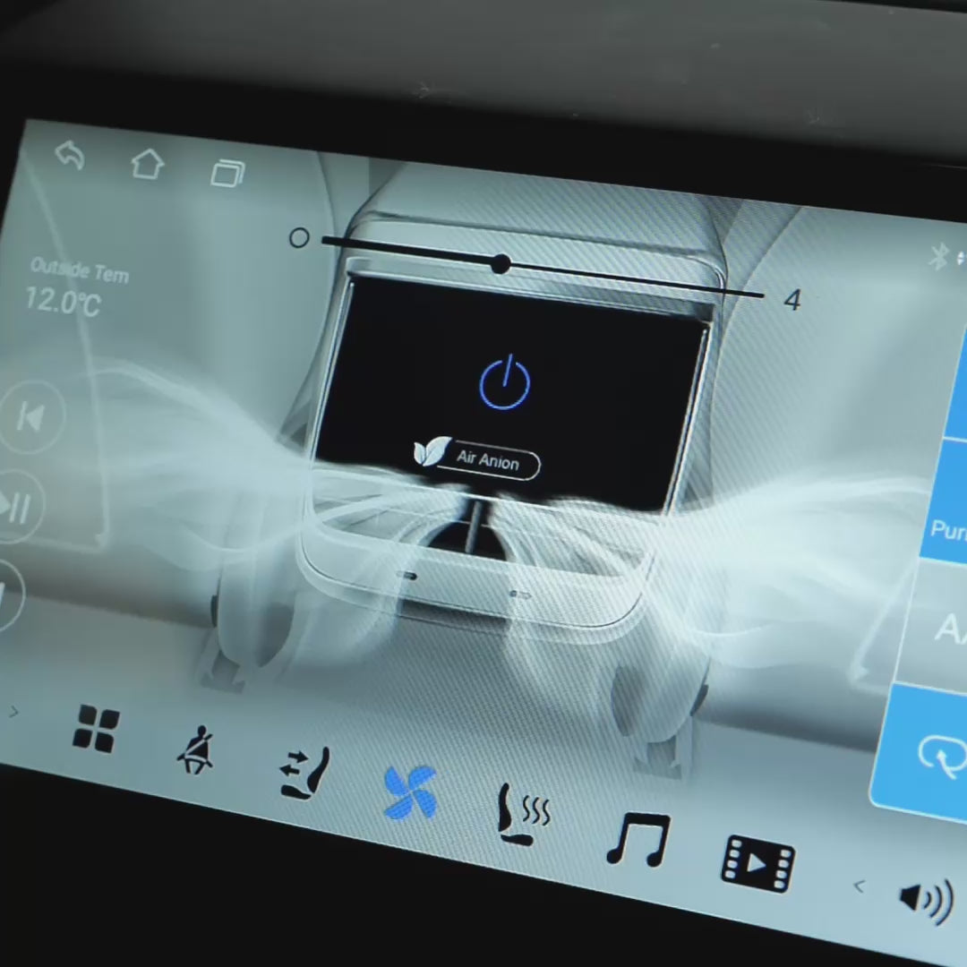 Teslahubs™ Rear Display Screen