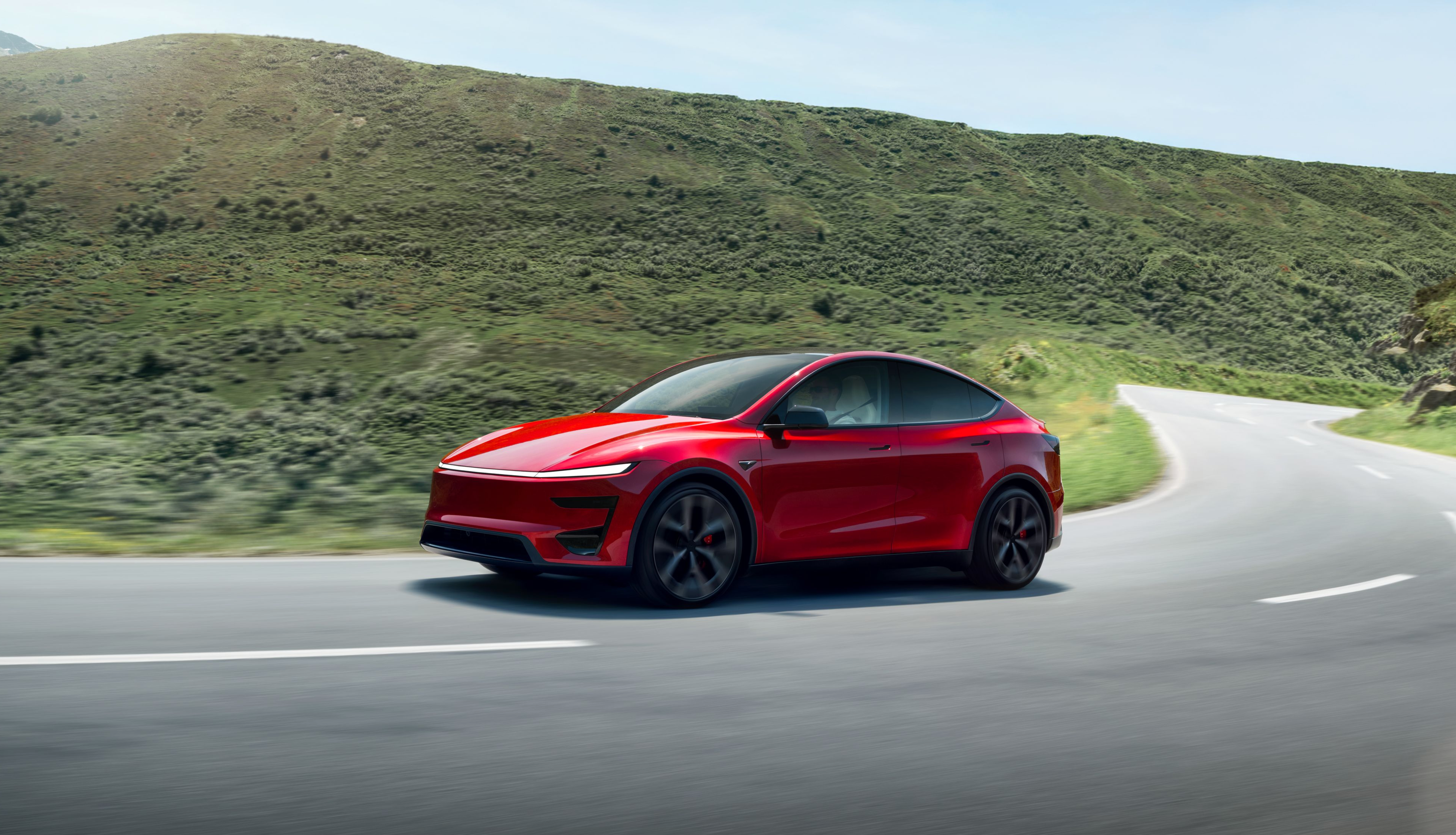 Make Your Model Y the Ultimate Summer Family SUV
