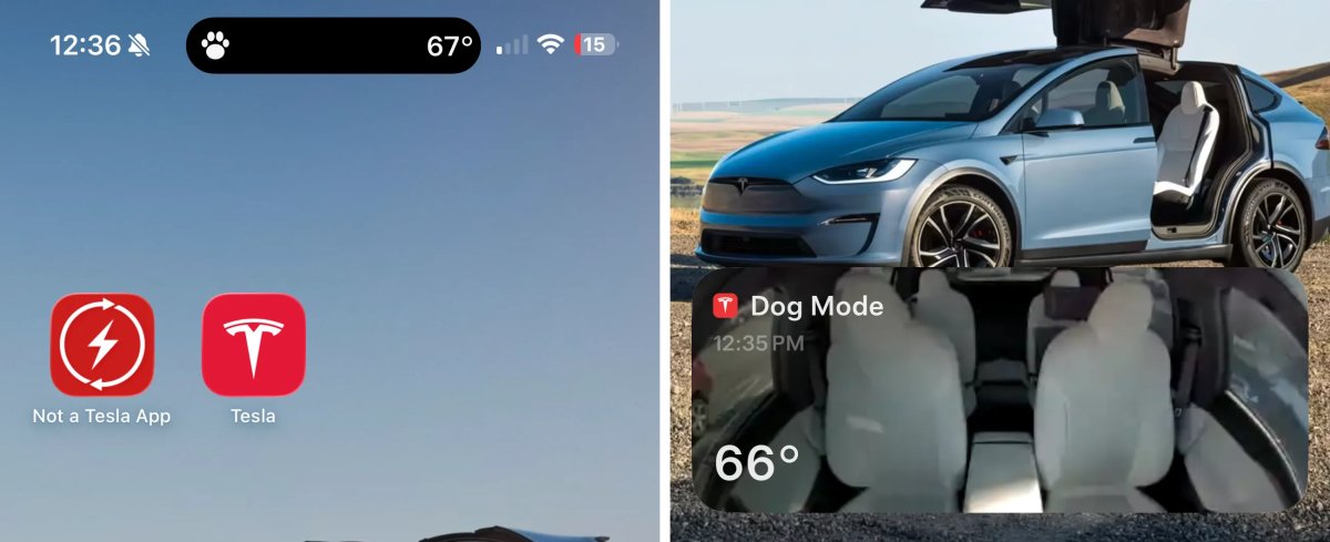 Tesla's Holiday Update: Photos and Videos of Every Feature