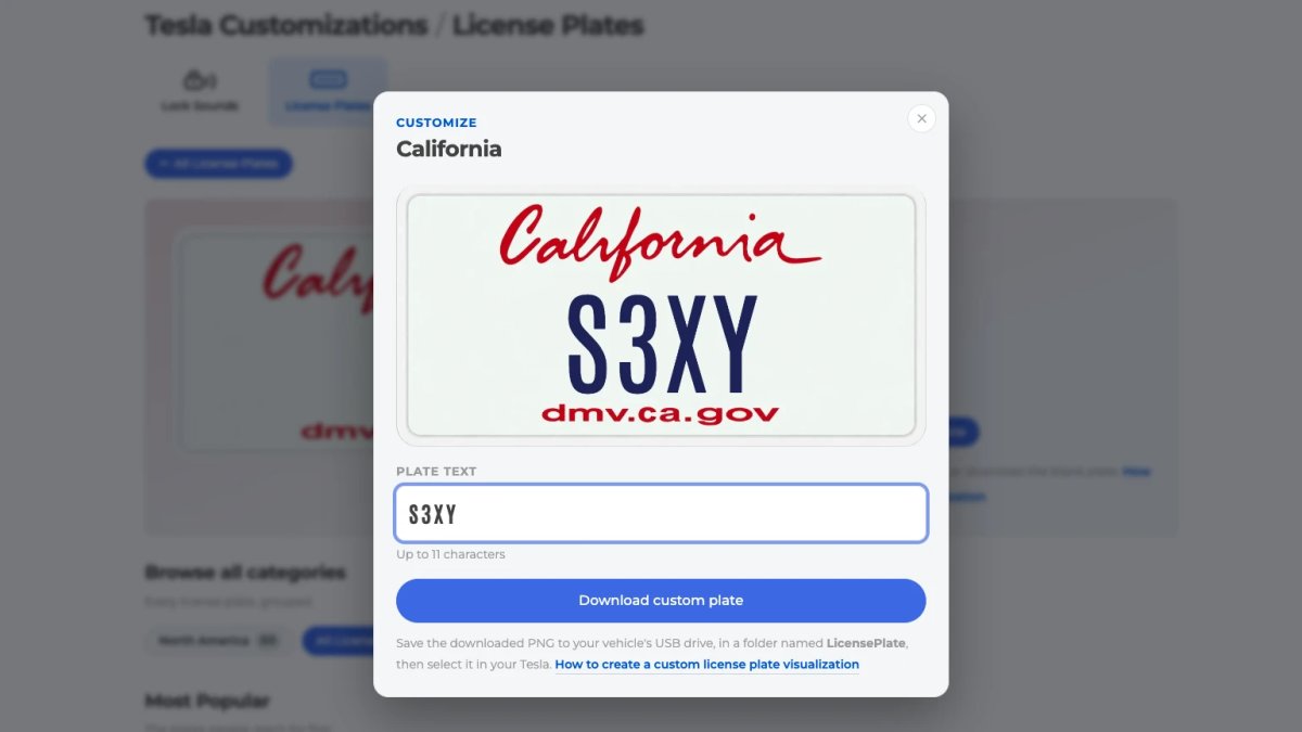 Introducing a Tesla License Plate Generator With Designs for All 50 States