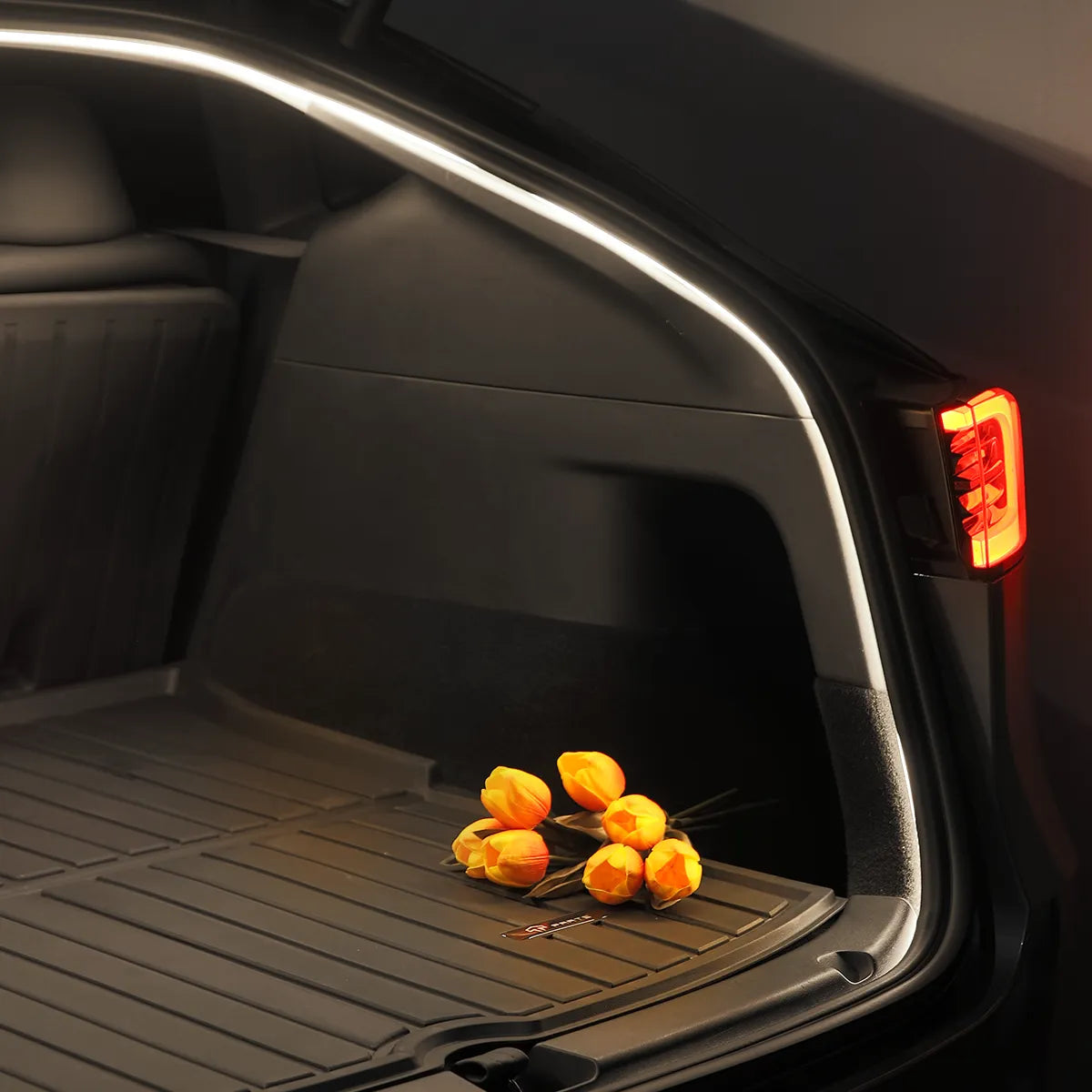 Teslahubs™ Model Y Trunk LED Strip