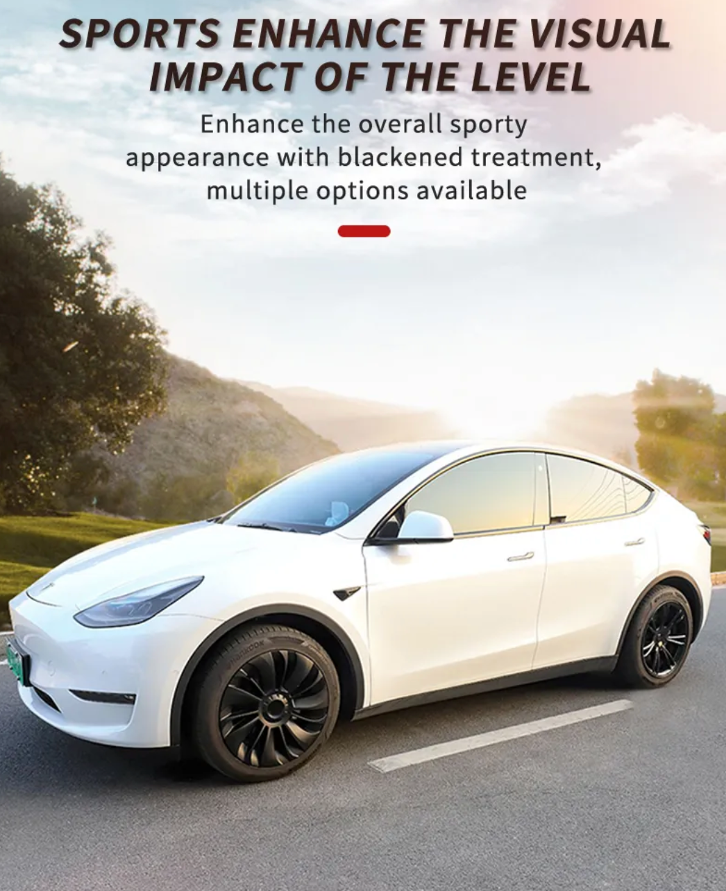 Teslahubs™ Radkappe 19 Zoll für Model Y 