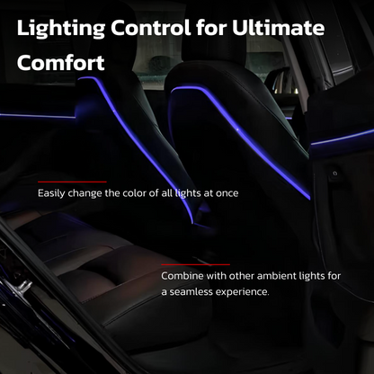 TeslaHubs™ Back Seats RGB Ambient Light