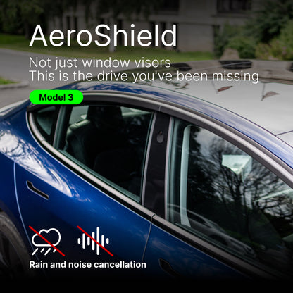 AeroShield Window Visors