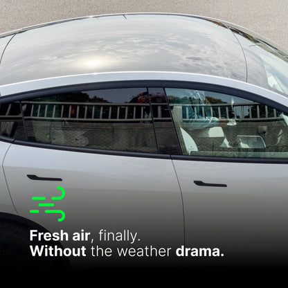 AeroShield Window Visors