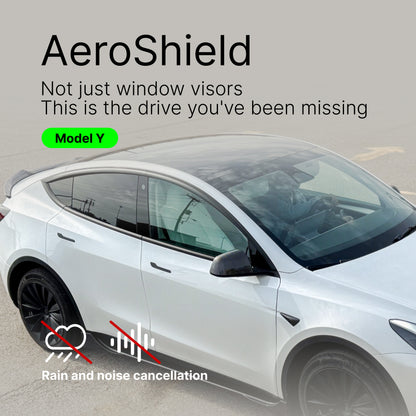 AeroShield Window Visors