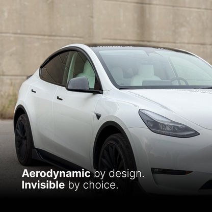 AeroShield Window Visors