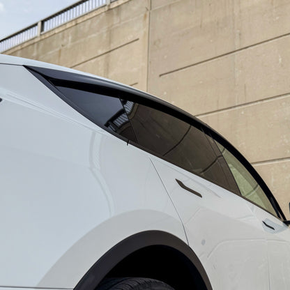 AeroShield Window Visors