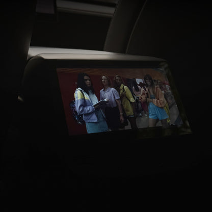 Teslahubs™ Rear Display Screen